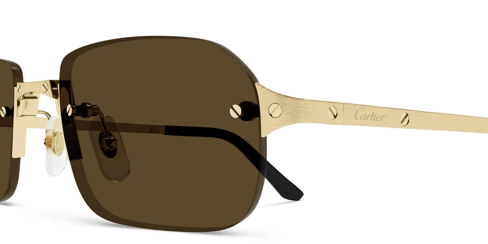 CARTIER MEN'S SUNGLASS CT0490S-00256 view 3