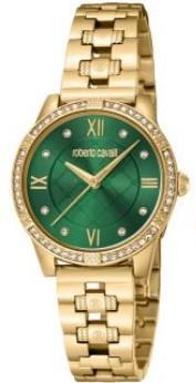 ROBERTO CAVALLI WATCH RC5L032M0065undefined