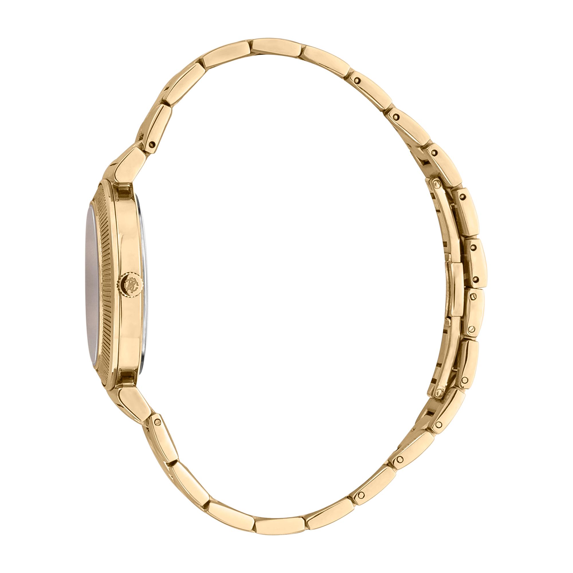 ROBERTO CAVALLI WATCH RC5L004M0065 view 3
