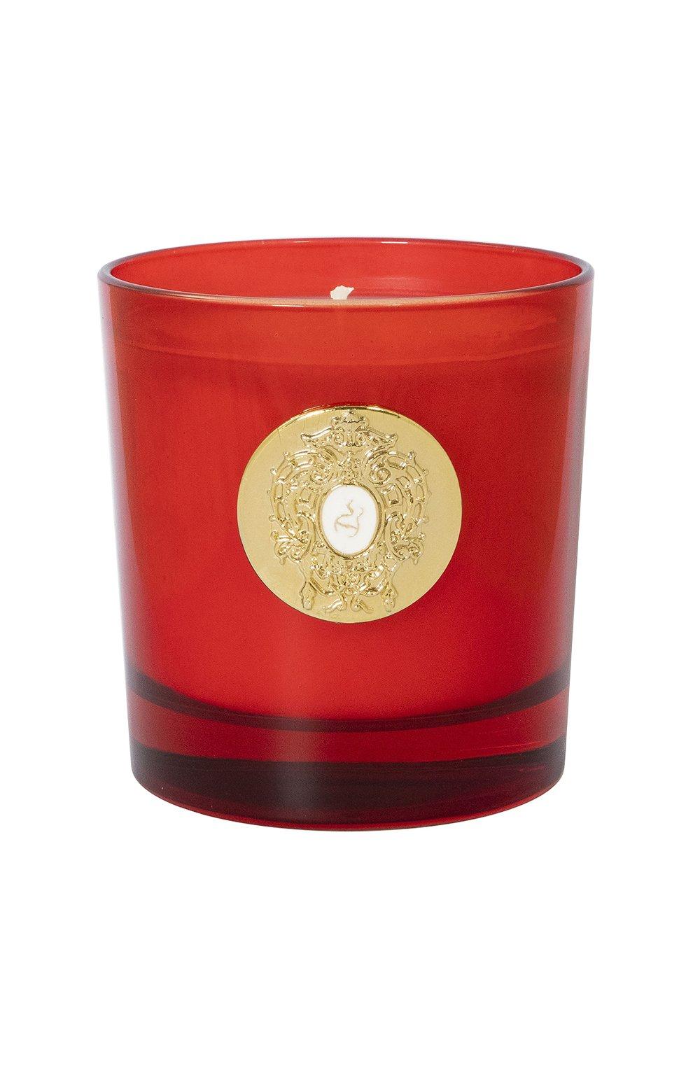 TZIANA TERENZI WIRTANEIN SCENTED CANDLE 250Gundefined