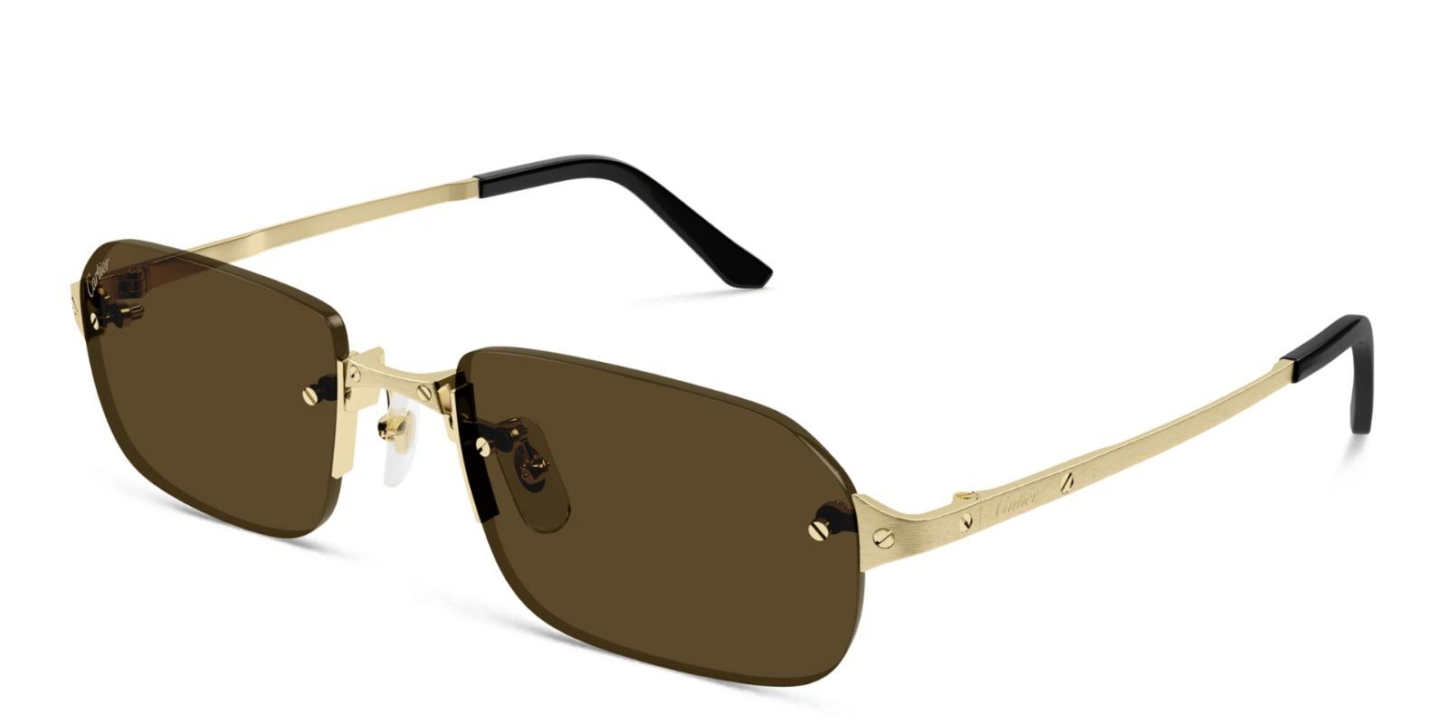 CARTIER MEN'S SUNGLASS CT0490S-00256 view 2