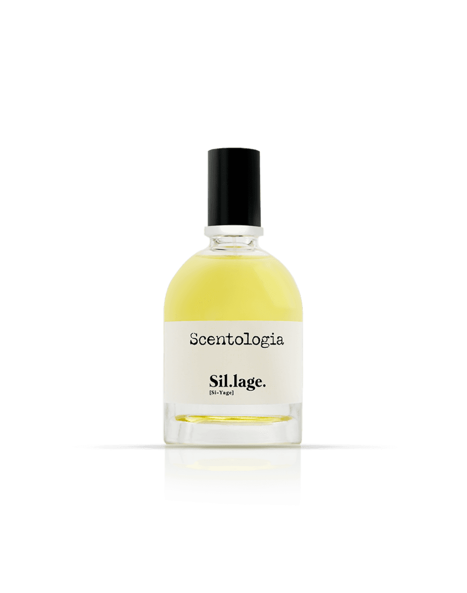 SCENTOLOGIA SILLAGE  EDP 100 MLundefined