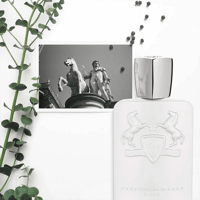 PARFUMS DE MARLY GALLOWAY EDP 125 ML view 2