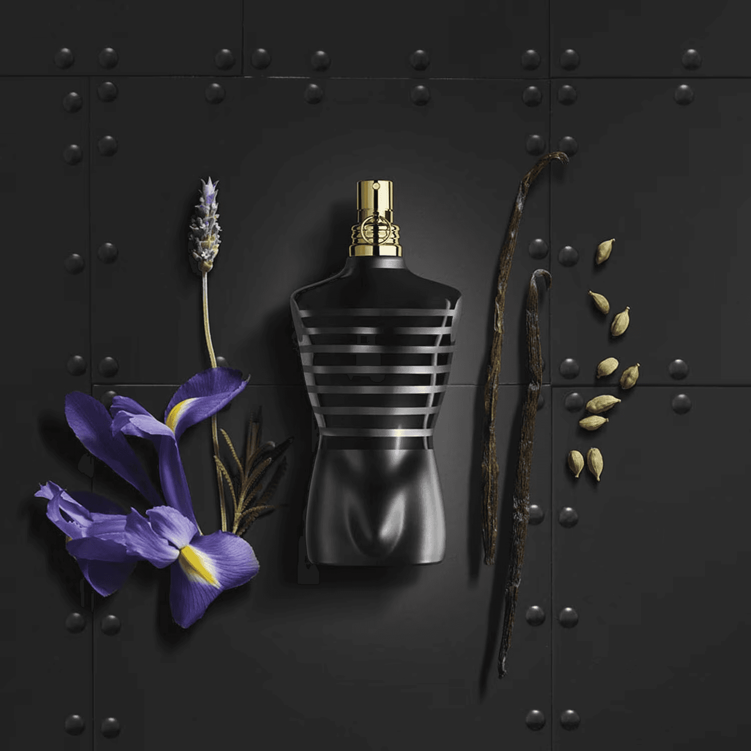JEAN PAUL GAULTIER LE MALE LE PARFUM EDP INTENSE 200ML view 2