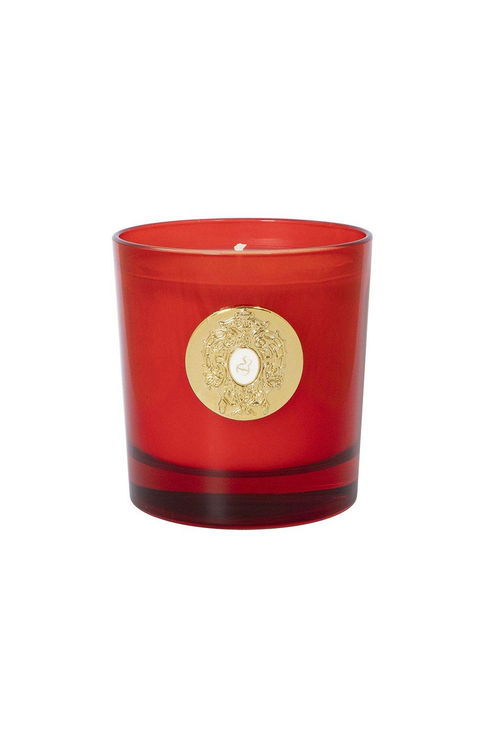 TZIANA TERENZI TEMPLE SCENTED CANDLE 250Gundefined