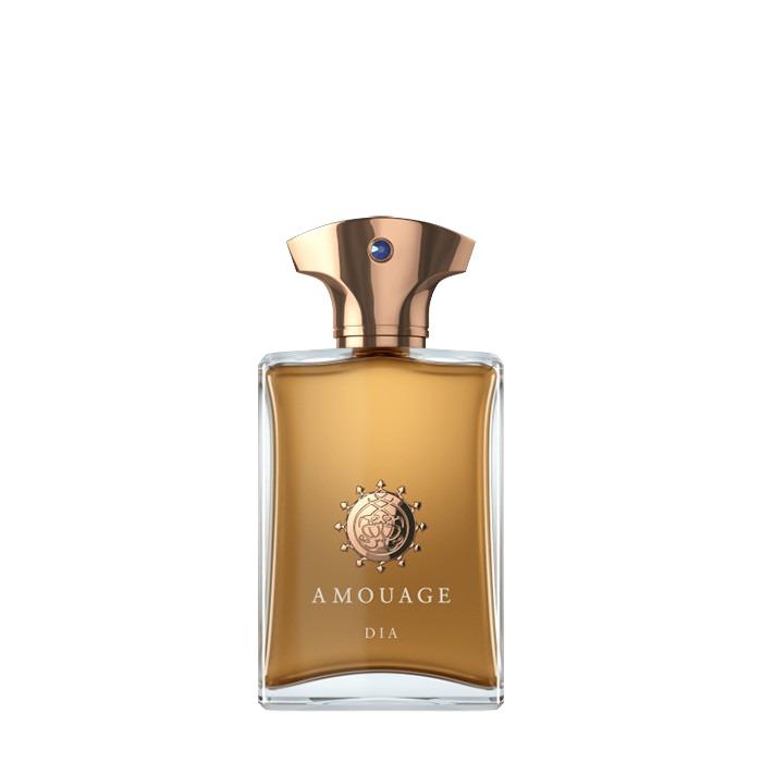 AMOUAGE DIA MAN EDP 100ML view 2