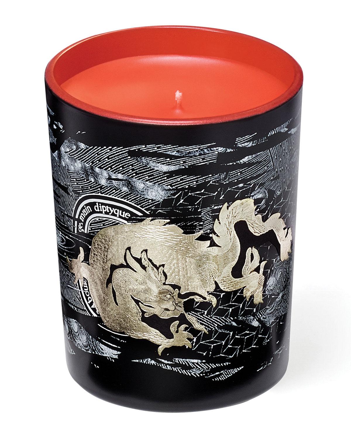 DIPTYQUE FEU DARUMES RED 190G CANDLE view 2