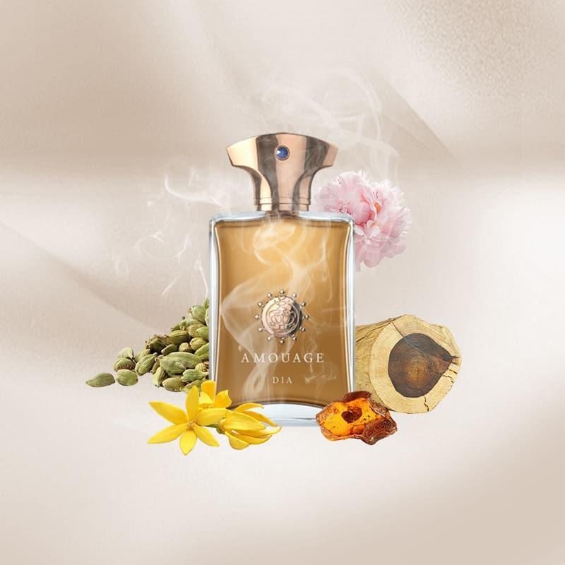 AMOUAGE DIA MEN EDP 100ML view 2