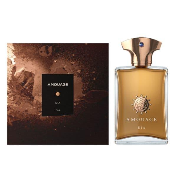 AMOUAGE DIA MEN EDP 100ML view 3