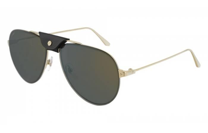 Cartier Sunglass CT0166S 002,003undefined