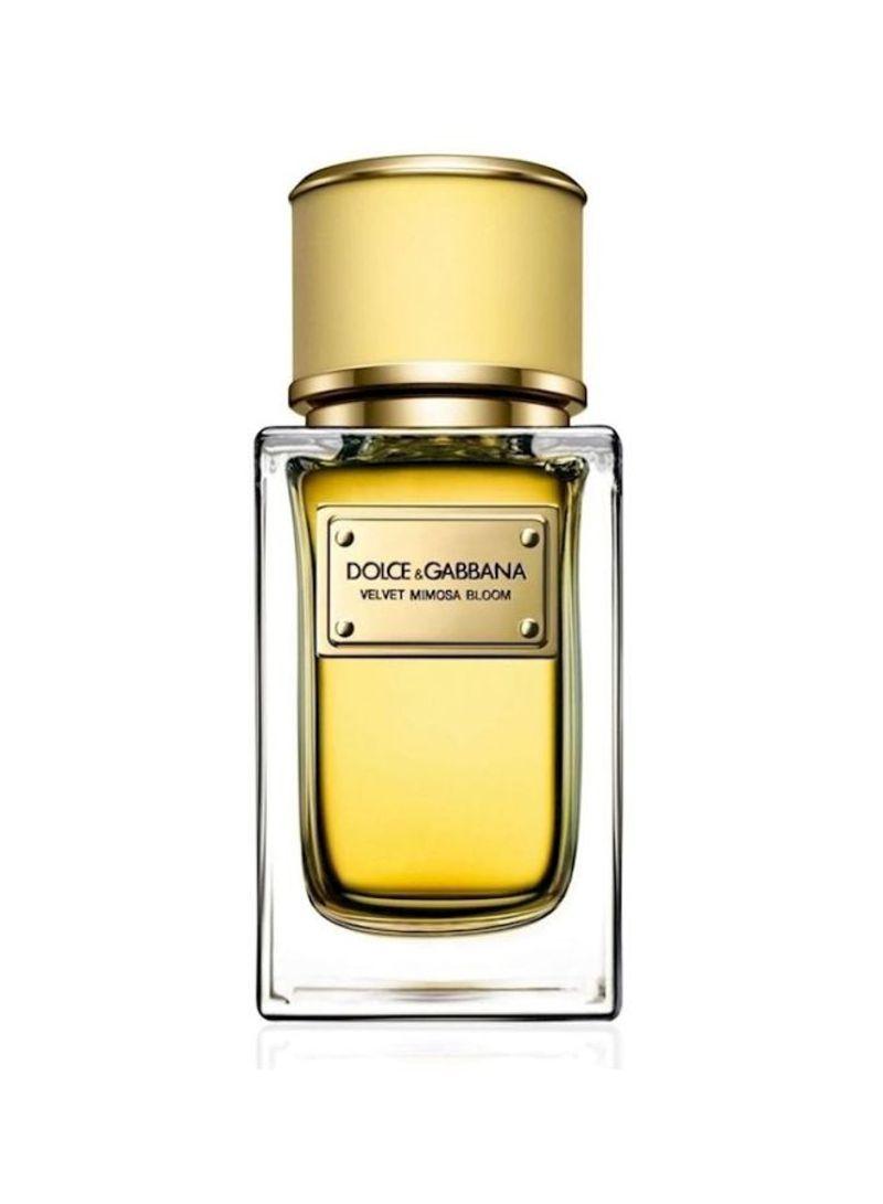 DOLCE & GABBANA VELVET MIMOSA BLOOM EDP 150MLundefined