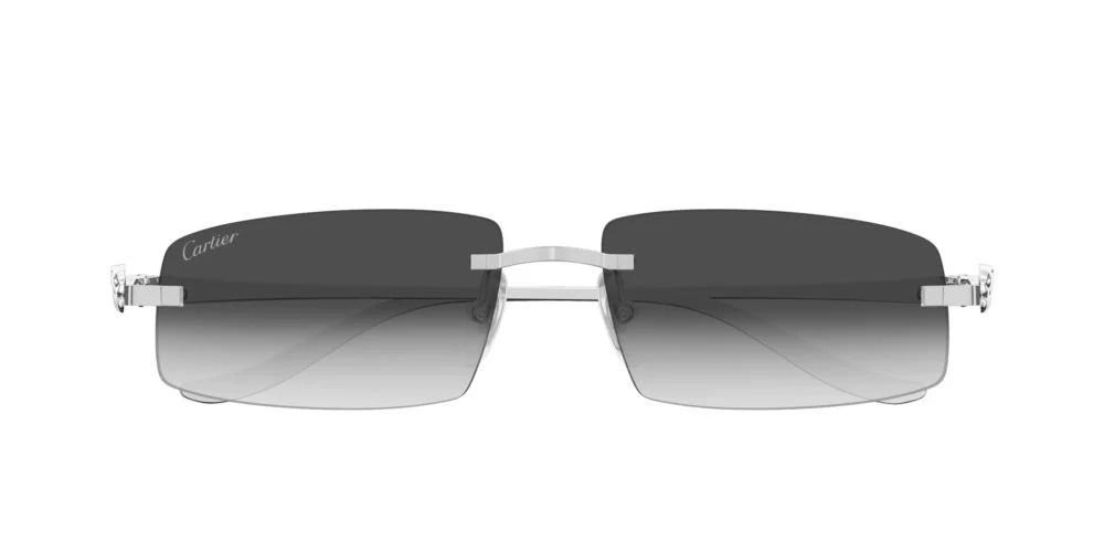 CARTIER SUNGLASS CT0505S-00258undefined