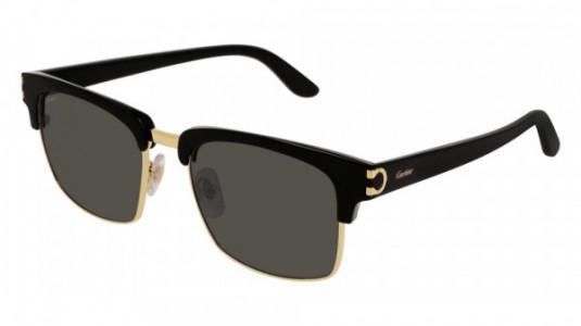 Cartier Sunglass CT0132S 001 view 2