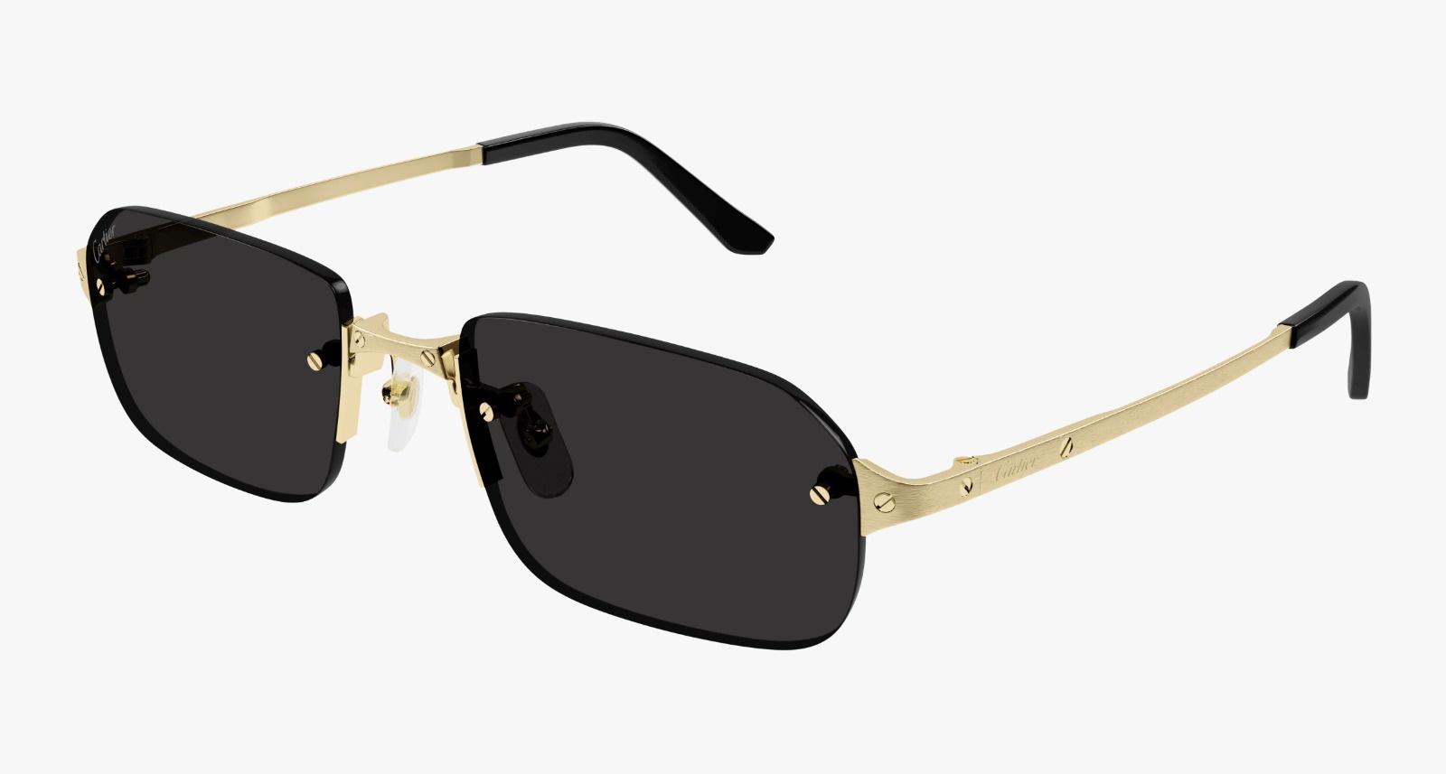 CARTIER MEN'S SUNGLASS CT0460S-00156 view 2