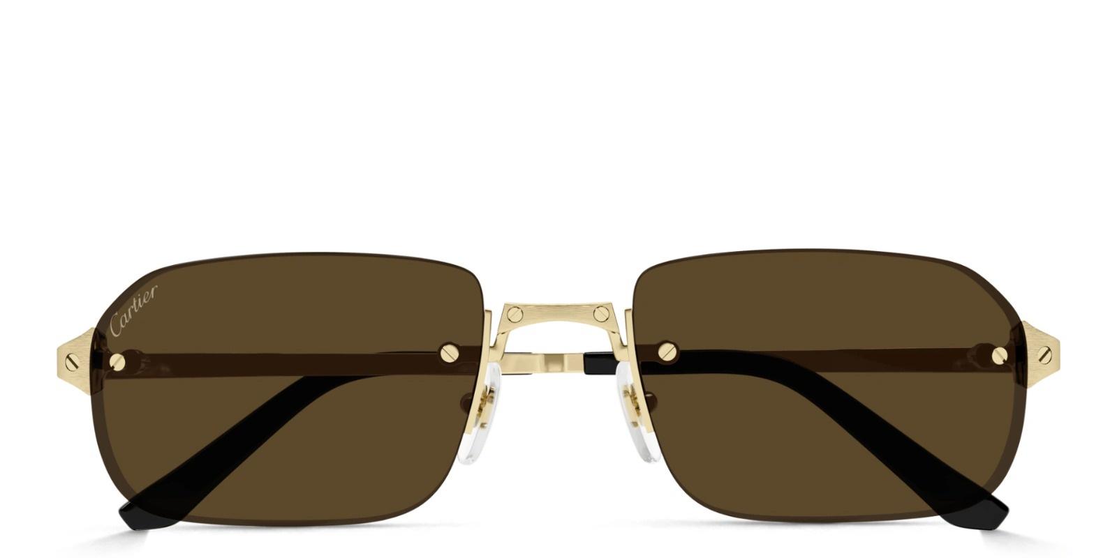 CARTIER MEN'S SUNGLASS CT0490S-00256undefined