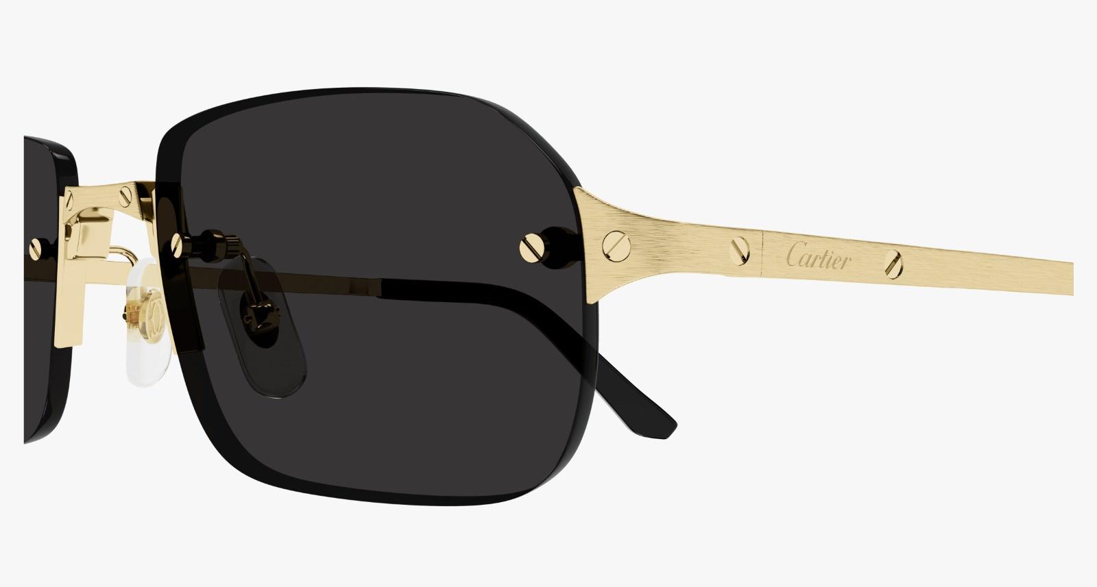CARTIER MEN'S SUNGLASS CT0460S-00156 view 3