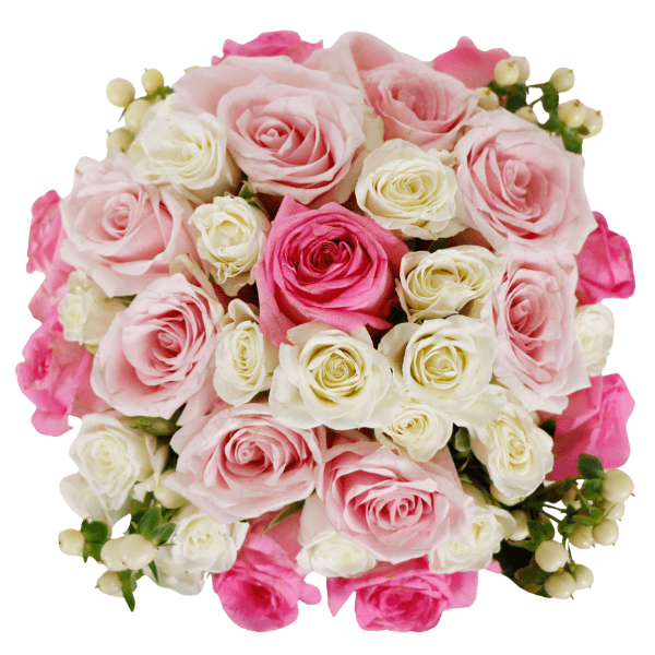 Shades Of Pink view 2