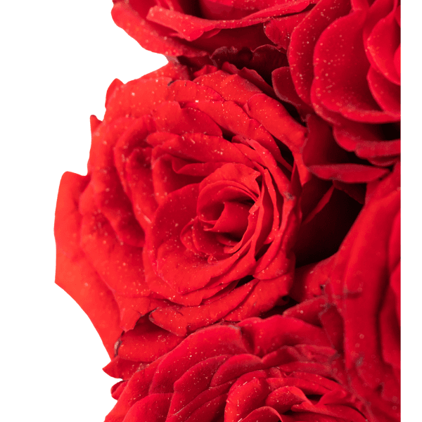 Rose Vase Arrangement view 3