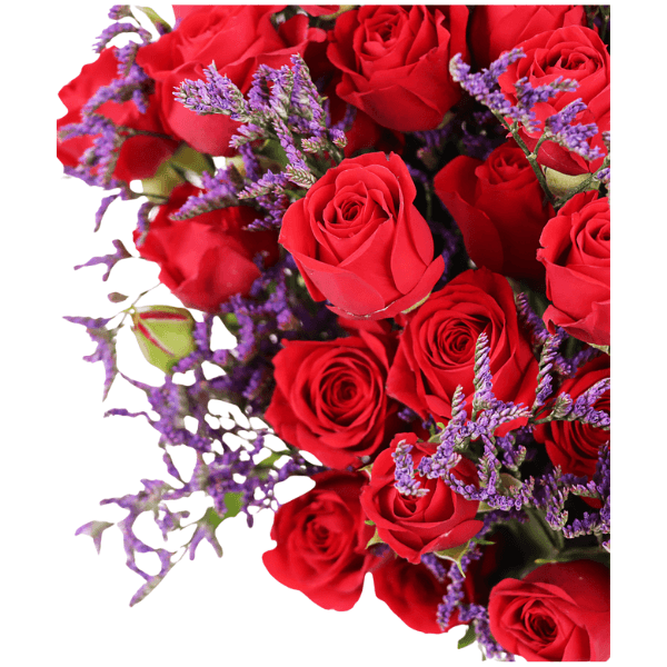 Red Delight view 2