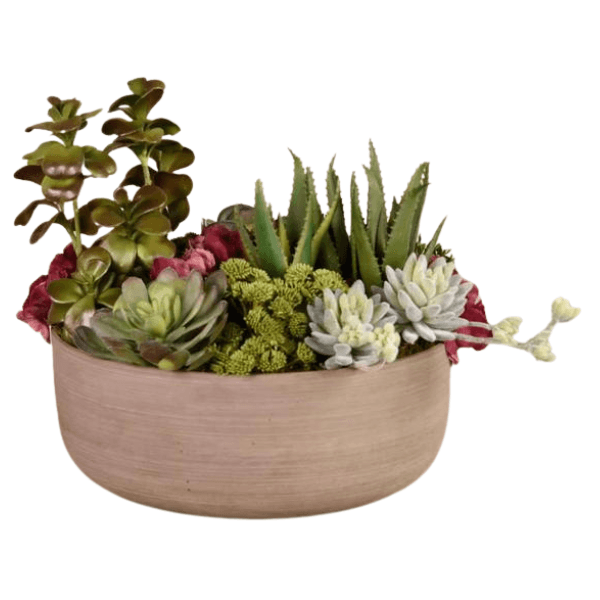 Corporate Gifts plante with chocolate 3 view 2