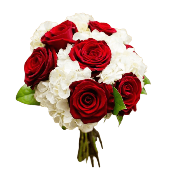 Aries horoscope bundle view 3