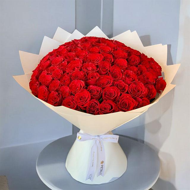 Red Bundle 7123 view 2