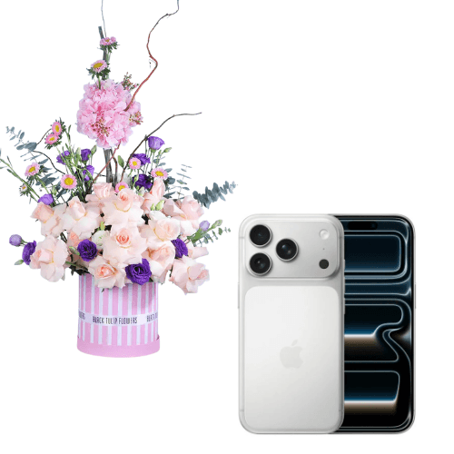 Apple iPhone 17 Pro – Silver view 1