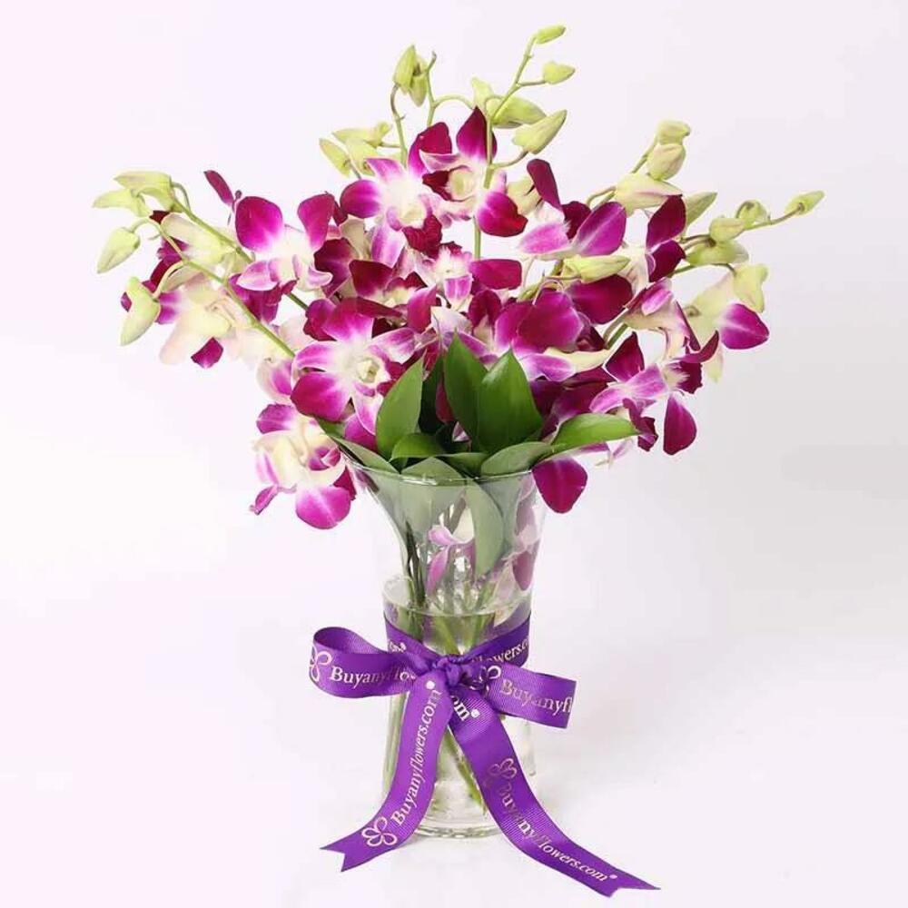 Roses, Bundle 2867 view 5