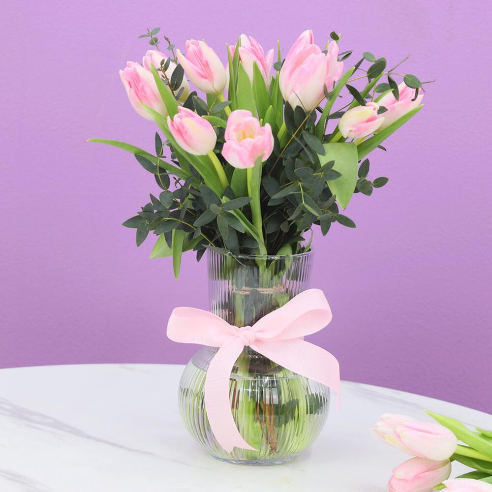 Topbright Bundle 7802 view 10