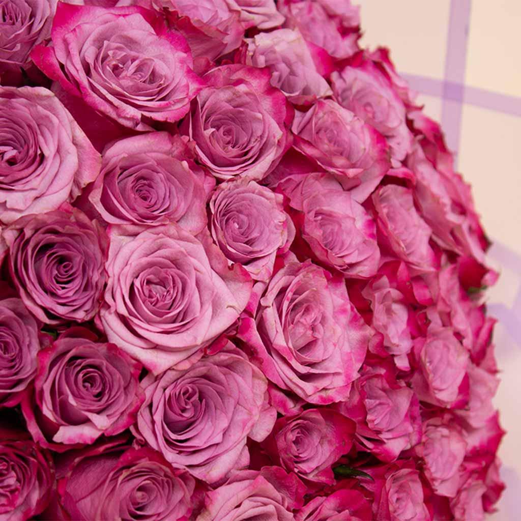 Deep purple 50 roses bouquet view 3