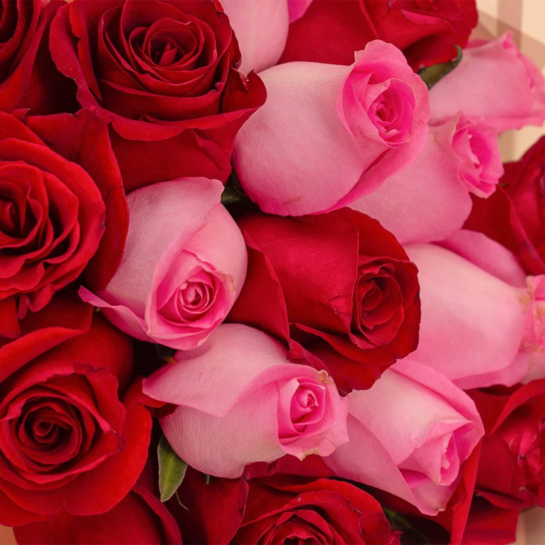 Flowrista | Red & Pink Roses Bouquet view 2