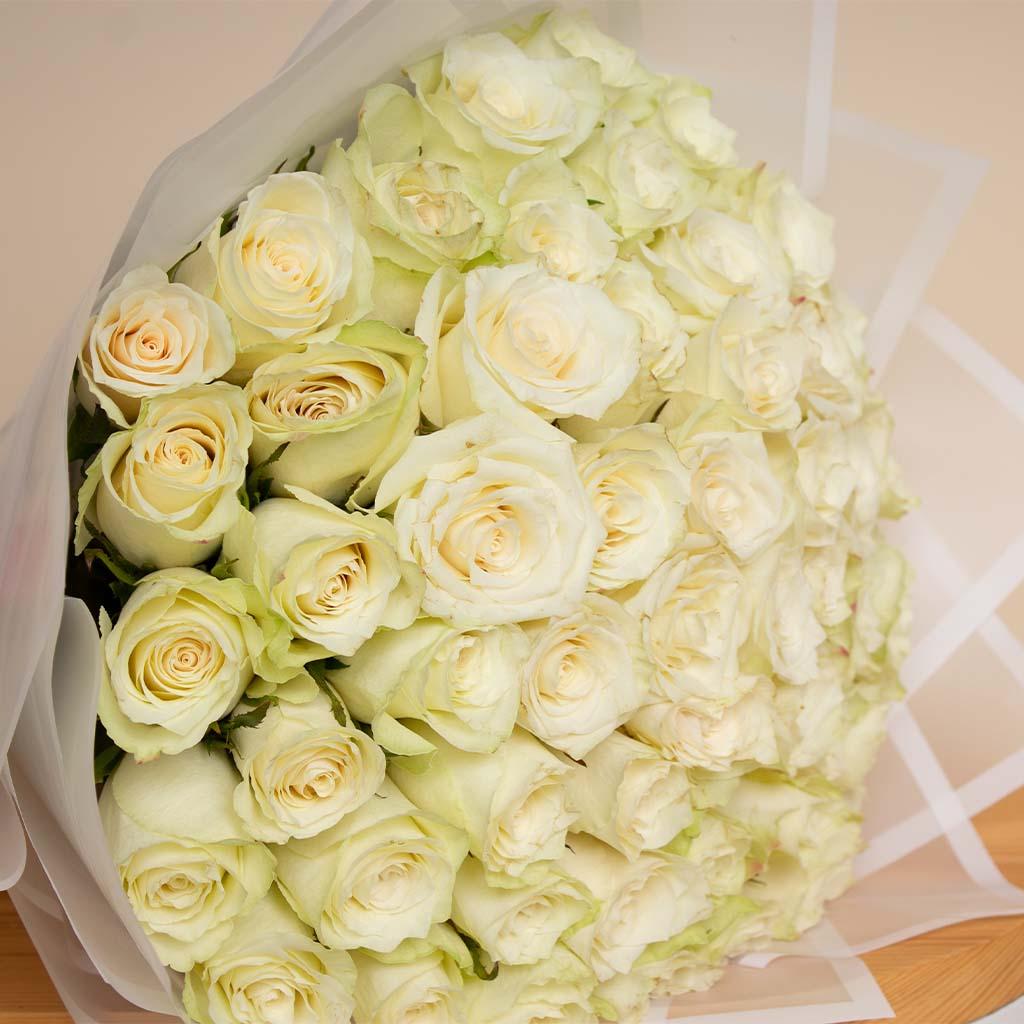 50 white roses view 2