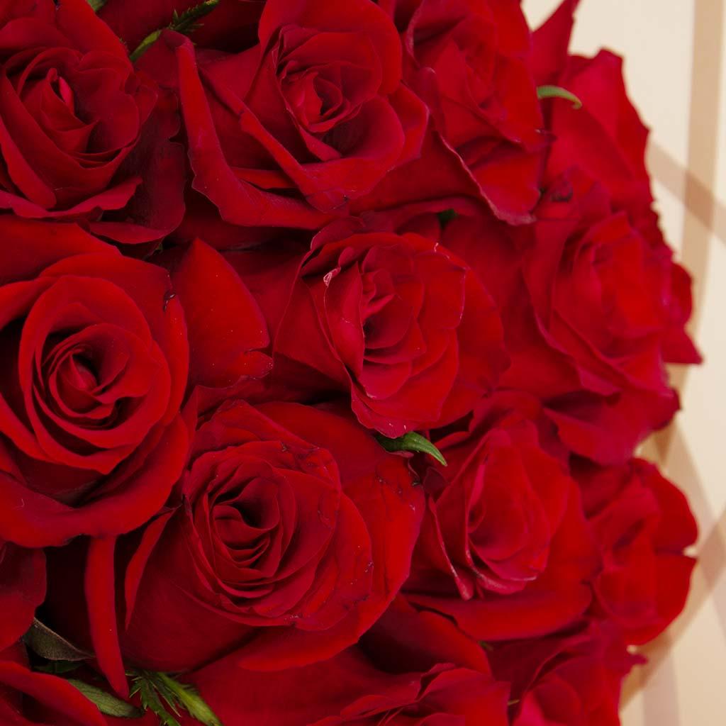 Flowrista Red Roses Bouquet | 20 Roses view 2