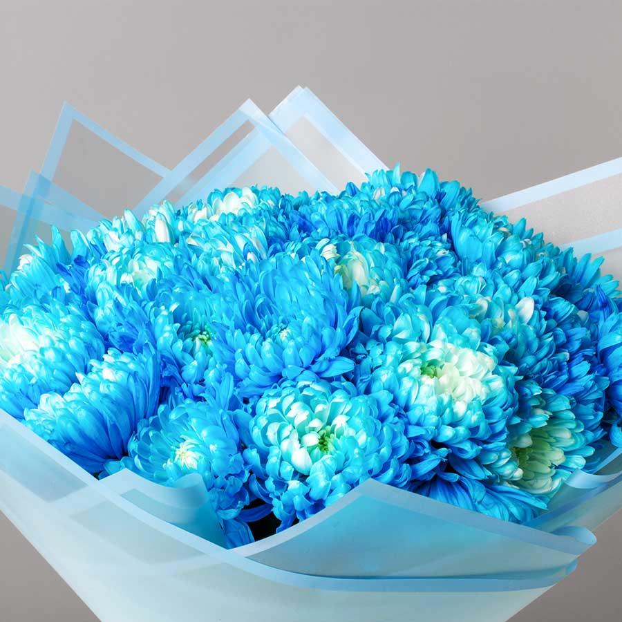 Blue Chrysanthemum view 2