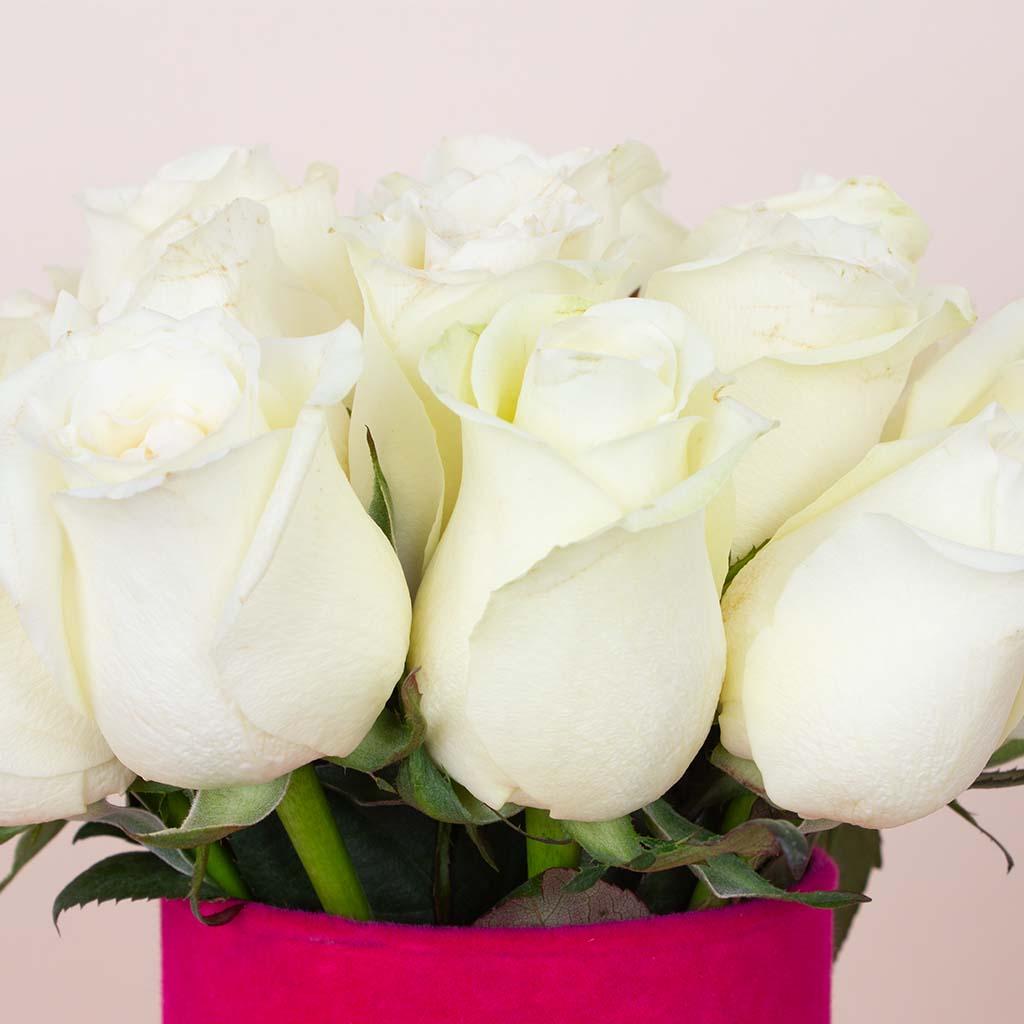 White Whisper Vase - 20 Stems view 2