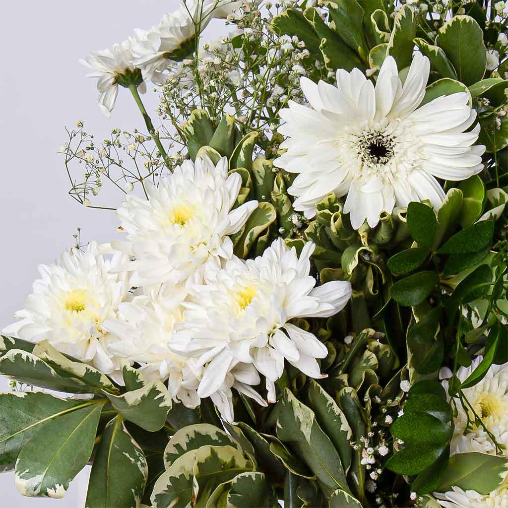 Whisper of White – Gerbera & Caranthantum Vase view 2