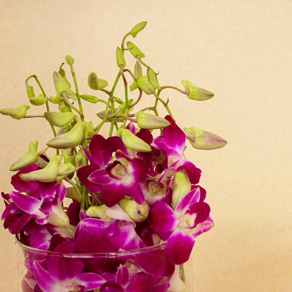 Baby Orchid Flower Vase - 10 Roses view 2