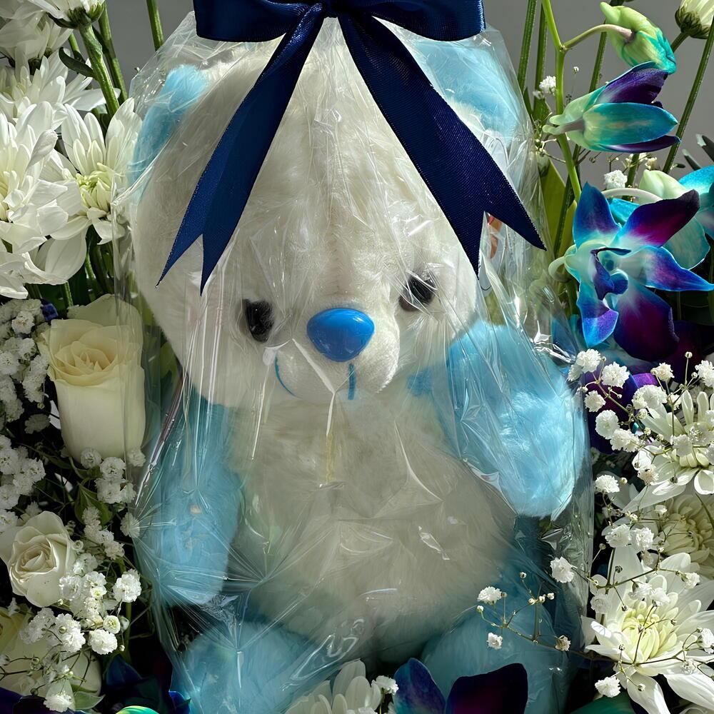 Baby Boy Wonder Bundle view 2