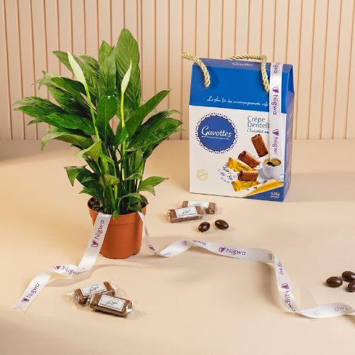 Gavottes with chocolate with lily plant view 1