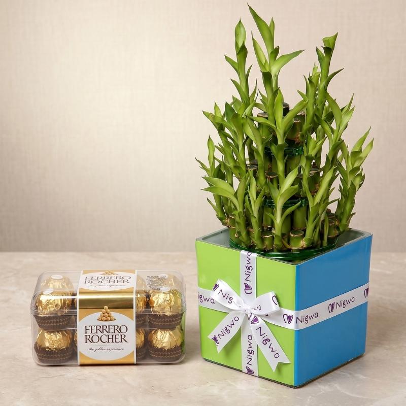 3 Layer Bamboo Plant and Chocolates For Birthday view 1