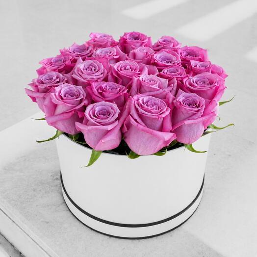 Purple Roses in Black Round Box