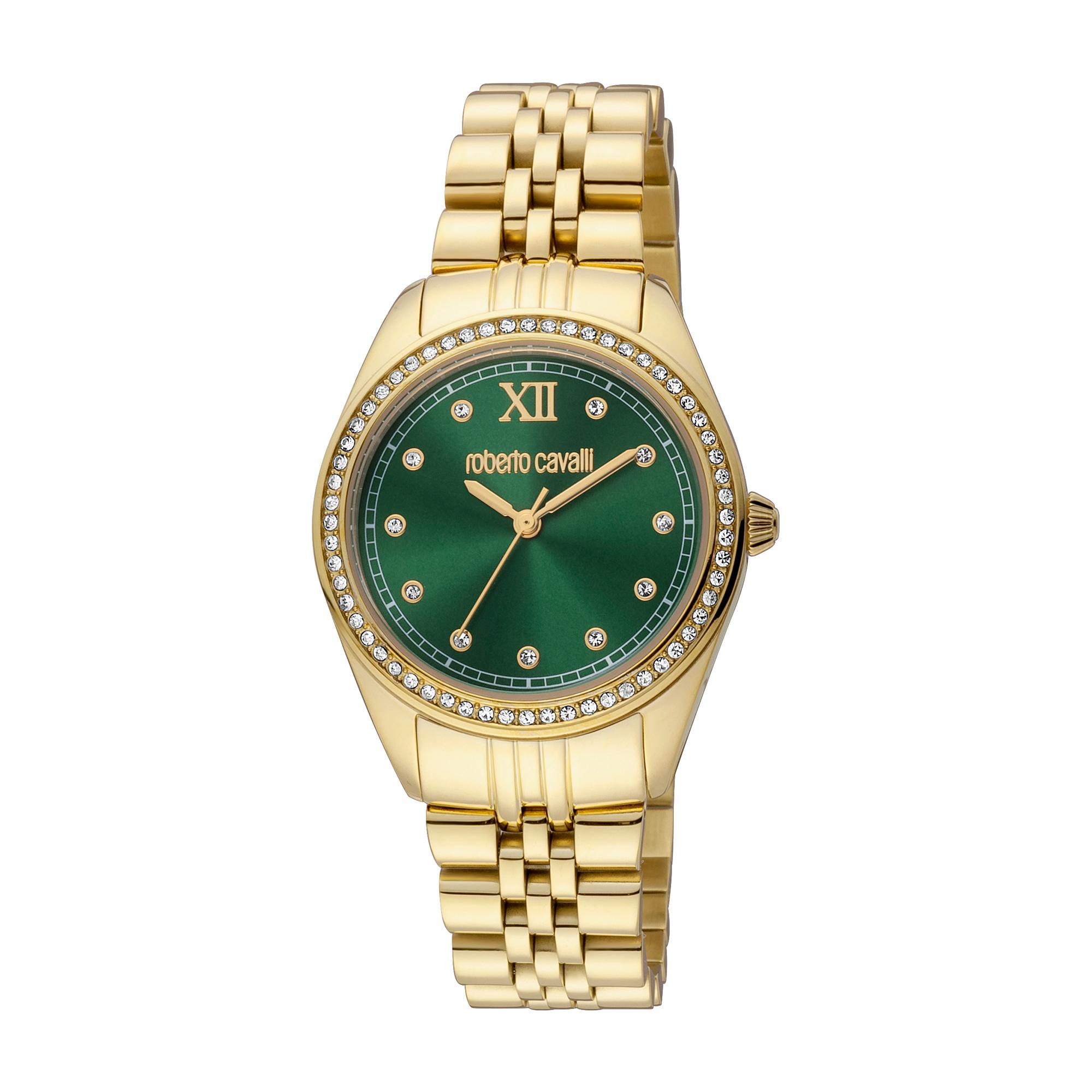 ROBERTO CAVALLI WATCH RC5L036M0065undefined