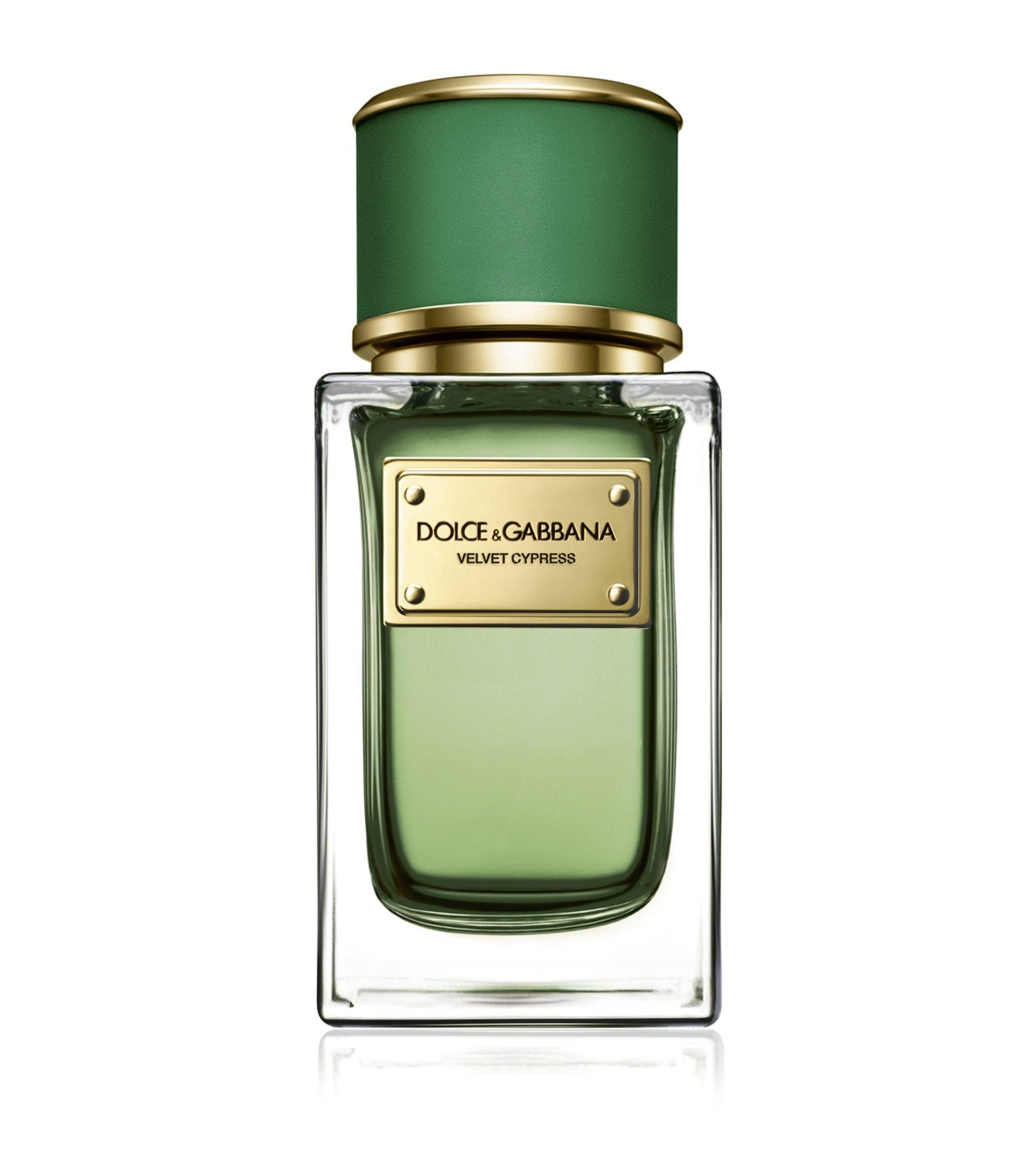 DOLCE & GABBANA VELVET CYPRESS EDP 150MLundefined