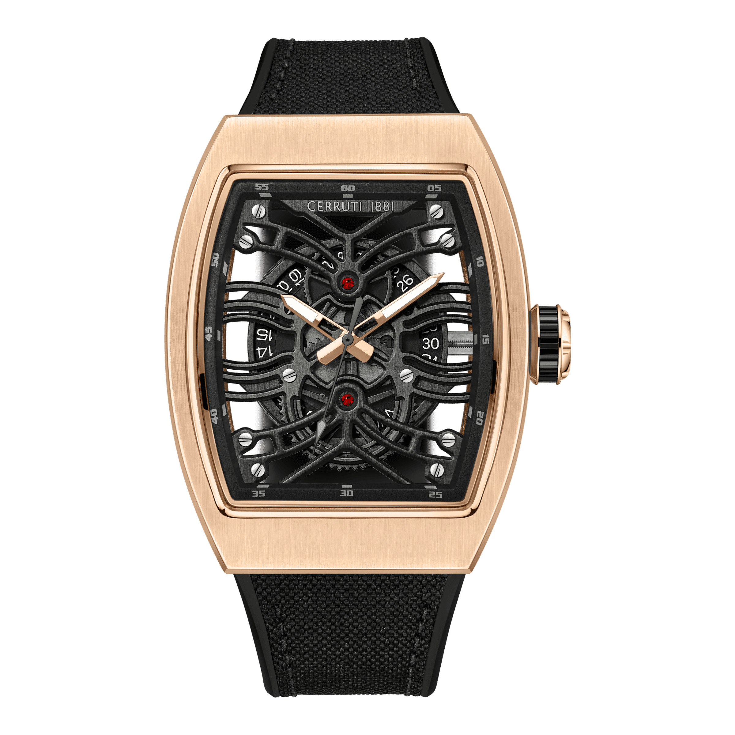 CERRUTI 1881 MEN'S WATCH CIWGN0019503undefined