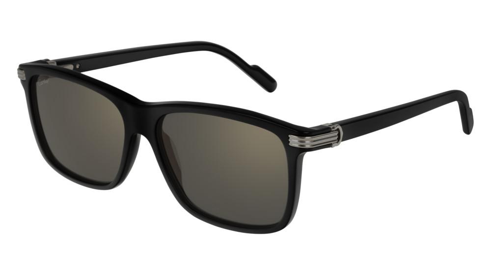 Cartier Sunglass CT0160S 001undefined