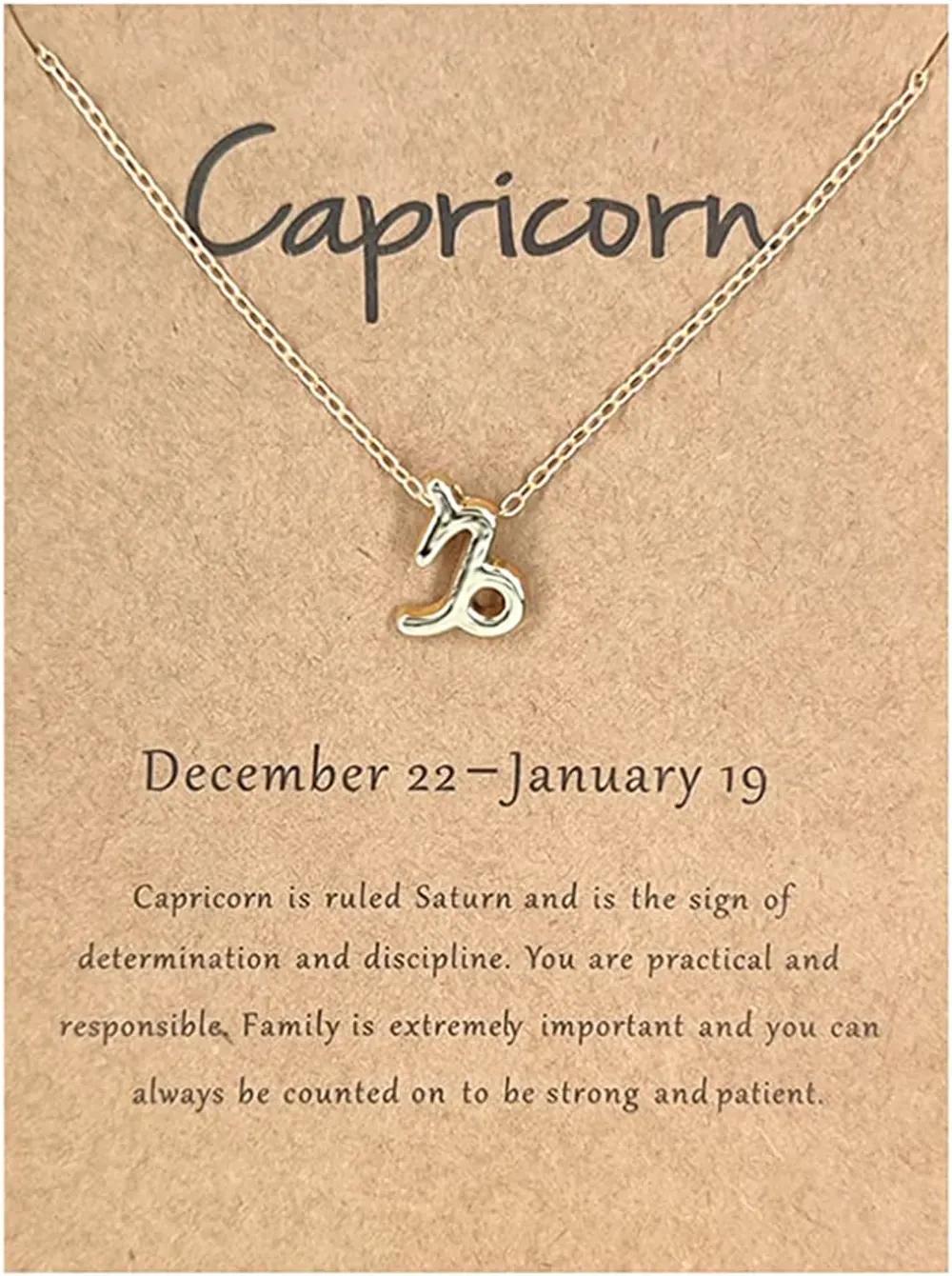 Capricorn Necklaceundefined