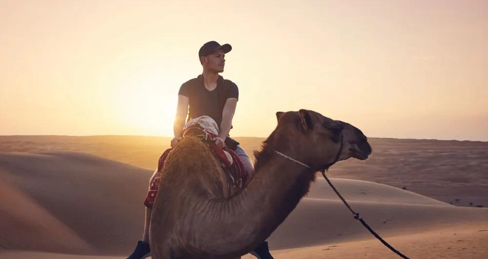 Camel rideundefined