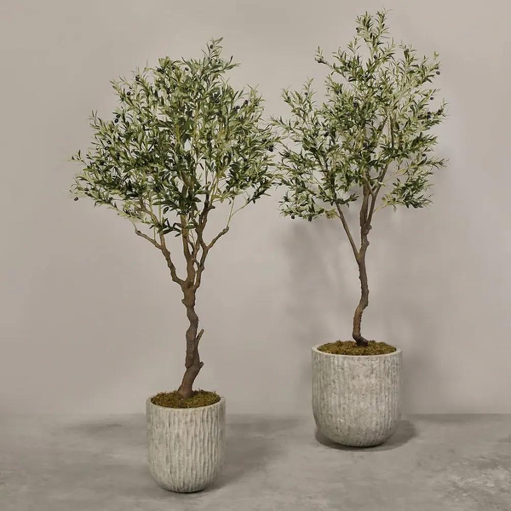 Artificial Olive Treeundefined
