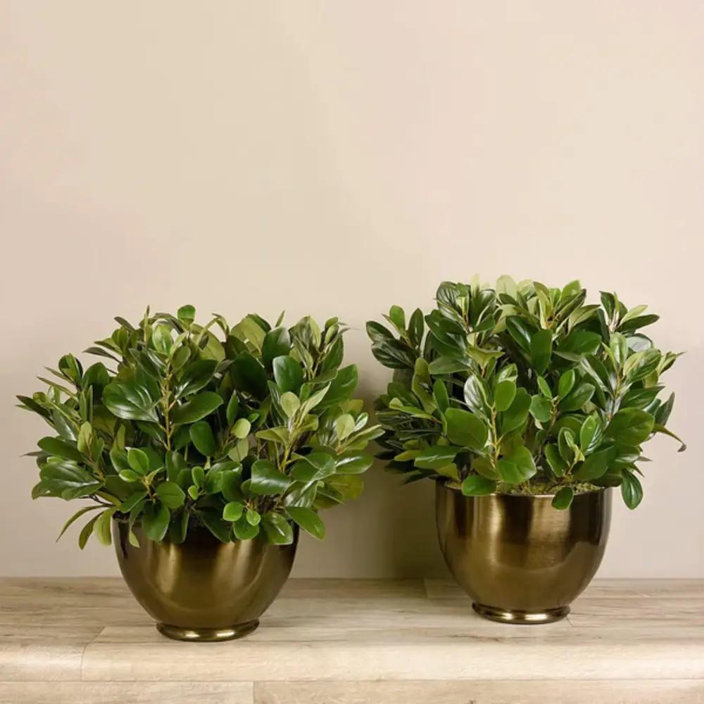 Artificial Watercress Plantundefined