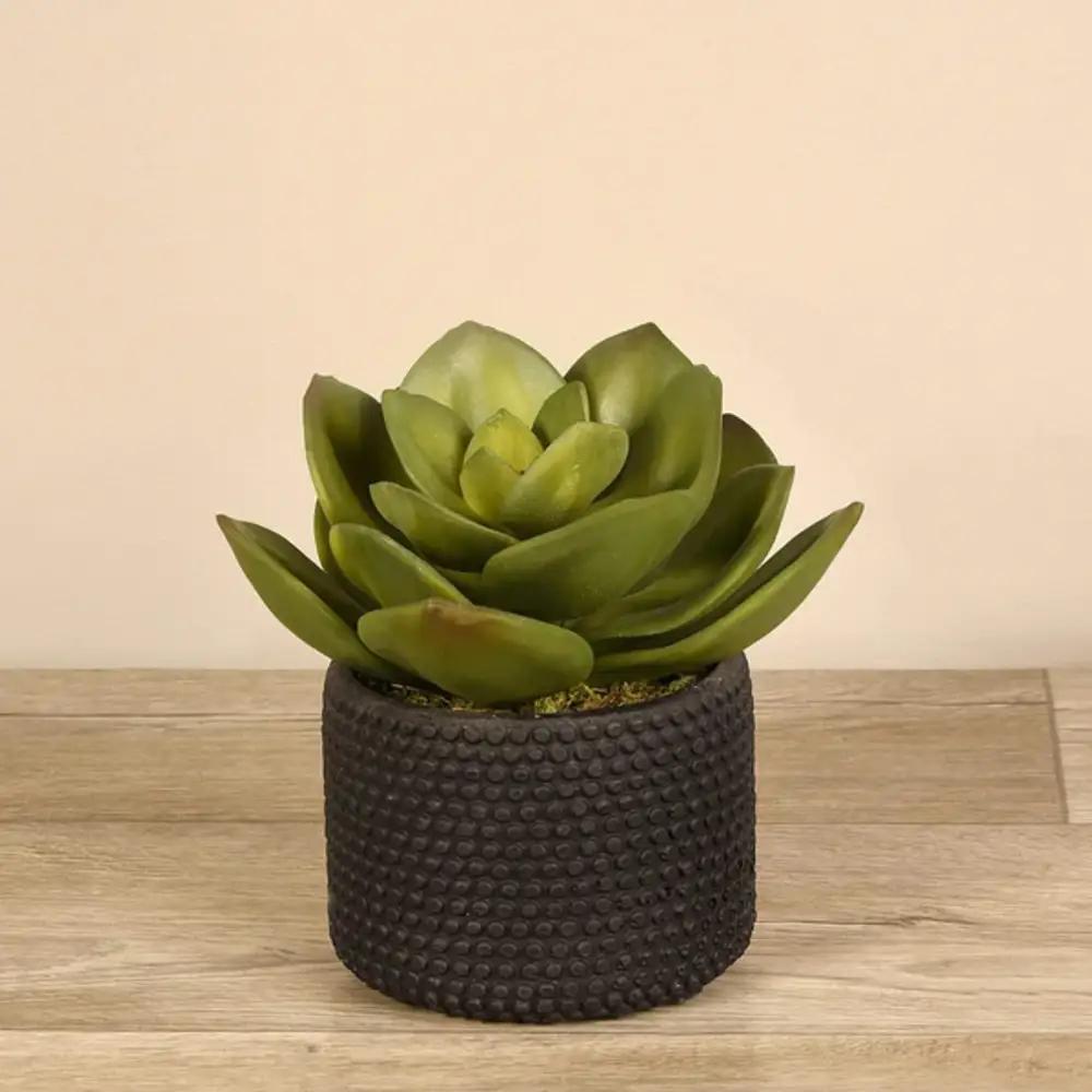 Artificial Succulent Plantundefined